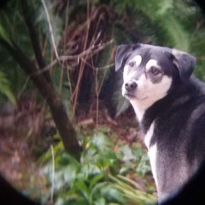 Meet your Posher, Jack